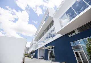 高质量胶原酶副作用