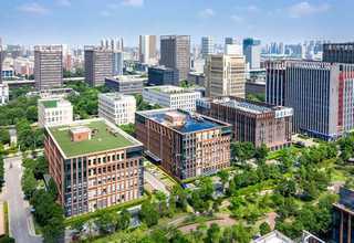 辽宁皮革除味剂成分