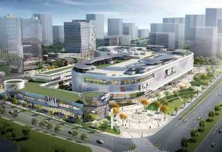 专业儿童篮球比赛指导